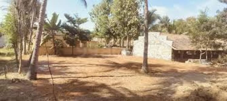 Plot sale