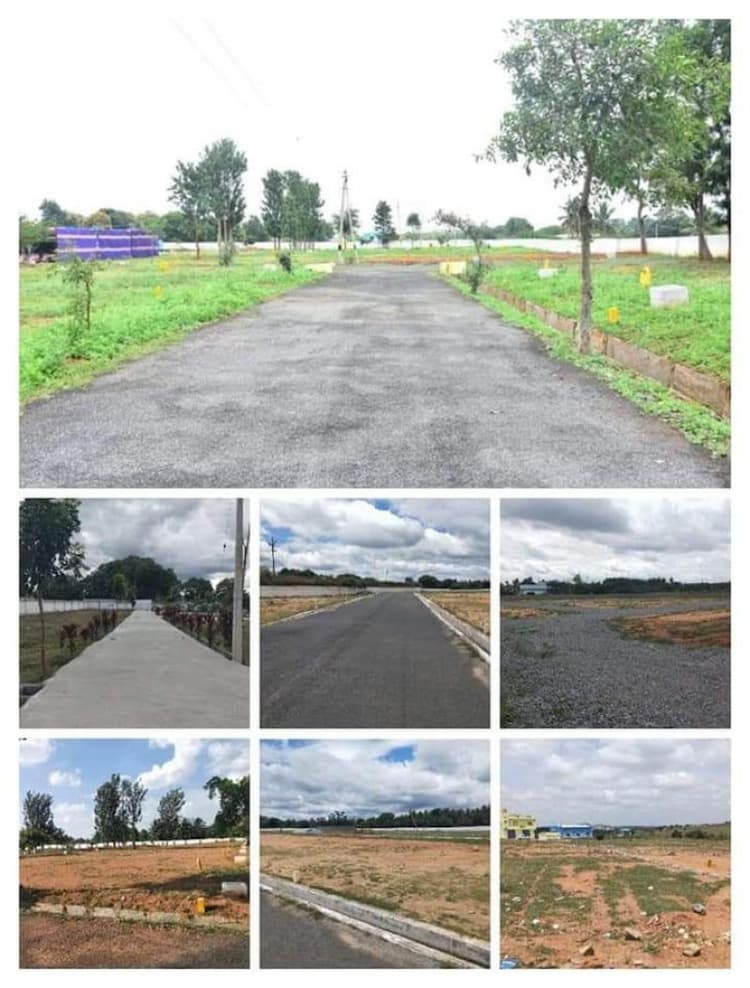 Plot sale
