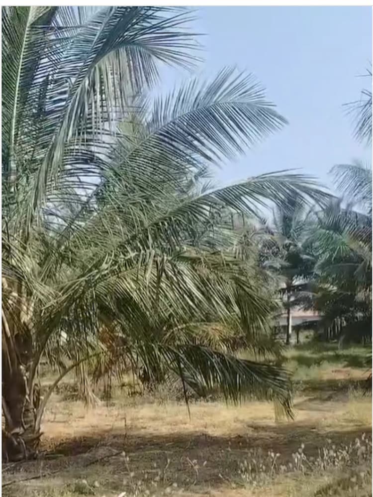Land for sales