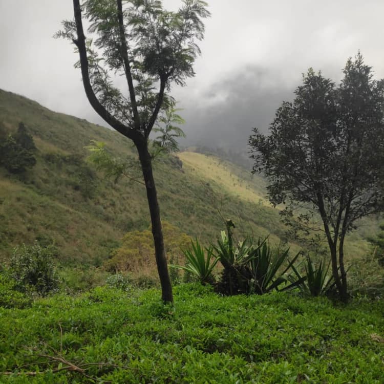 100 Acre For Sale