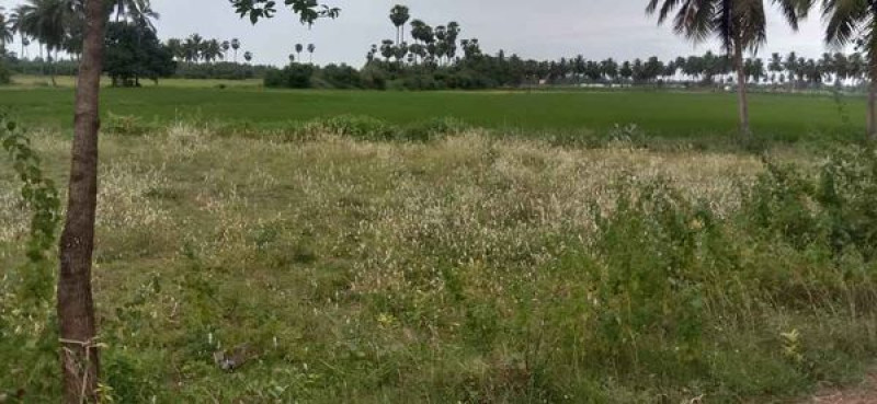 Land sale