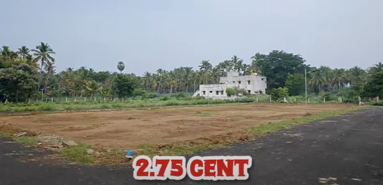 Land for sales