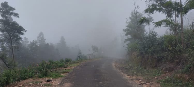 Mountain View Land