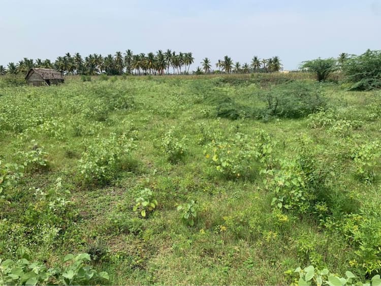 Residential land for sale