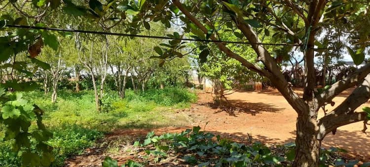Single Property Image