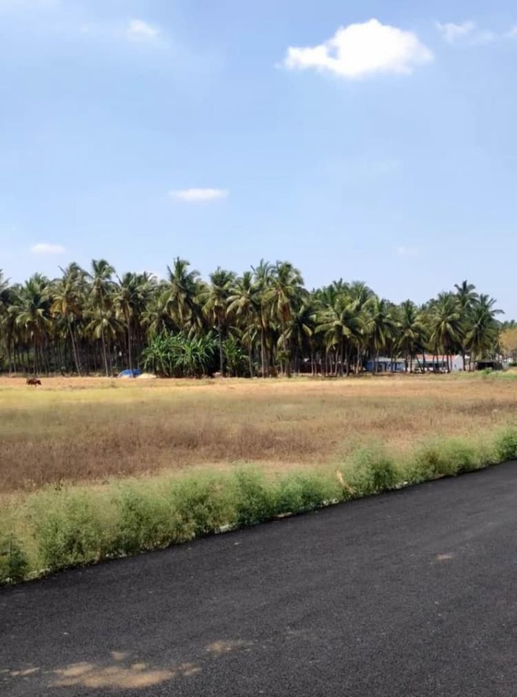 agri land for sale