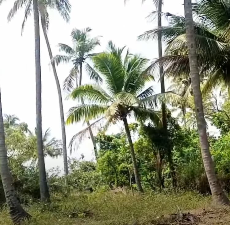 land for sales