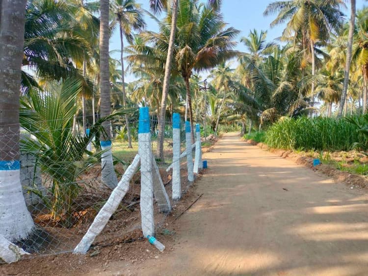Single Property Image
