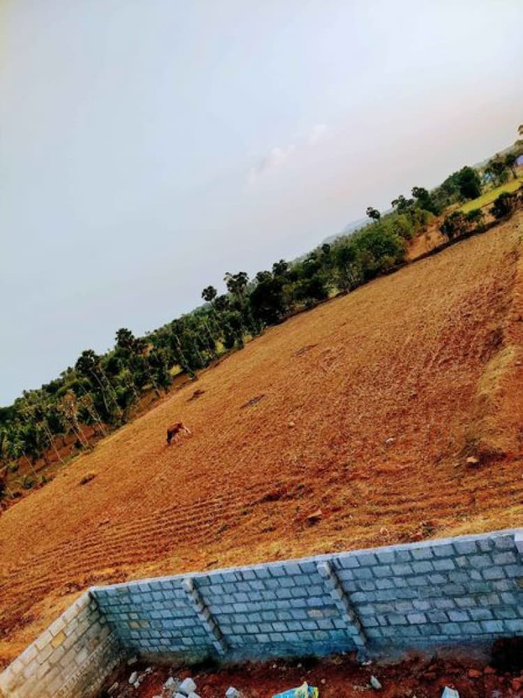 Agri Land For Sale