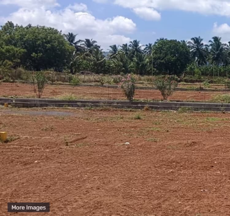plot for sale 