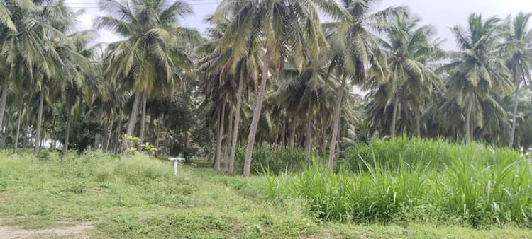 Single Property Image