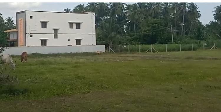 Land for sales