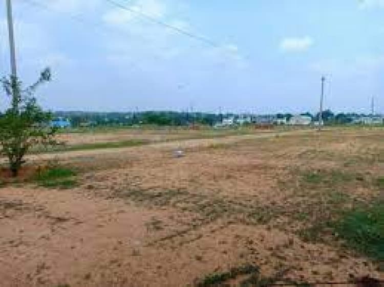 Residential Plot
