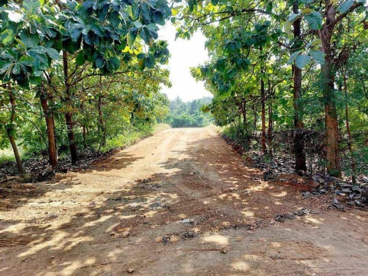 Single Property Image