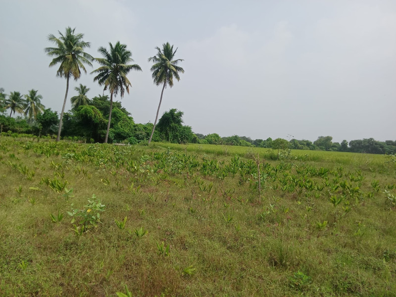 land sale
