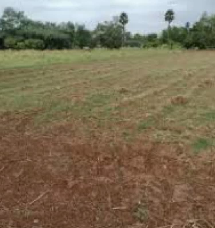 Land for sales