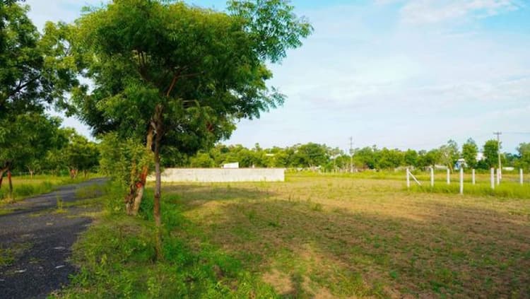 plot for sale 