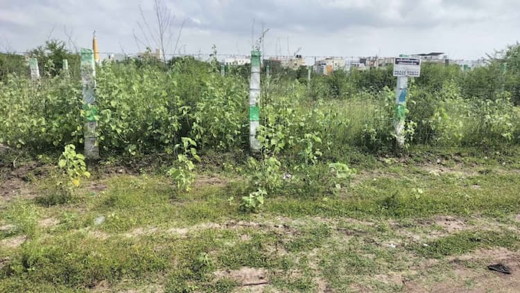 Plot for sale