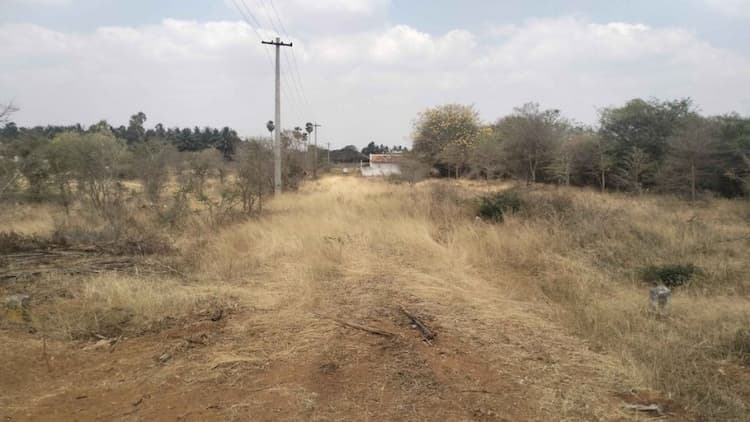 Plot for Sale