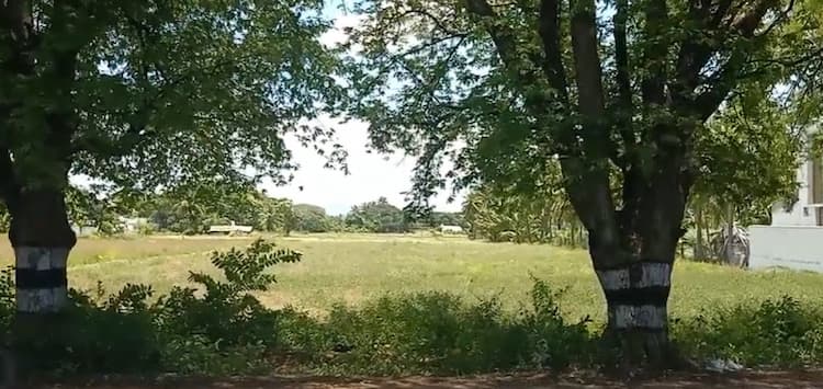 Land for sales