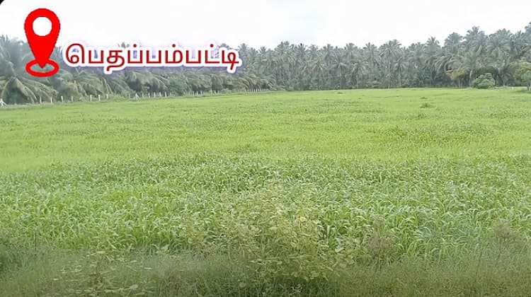 Single Property Image