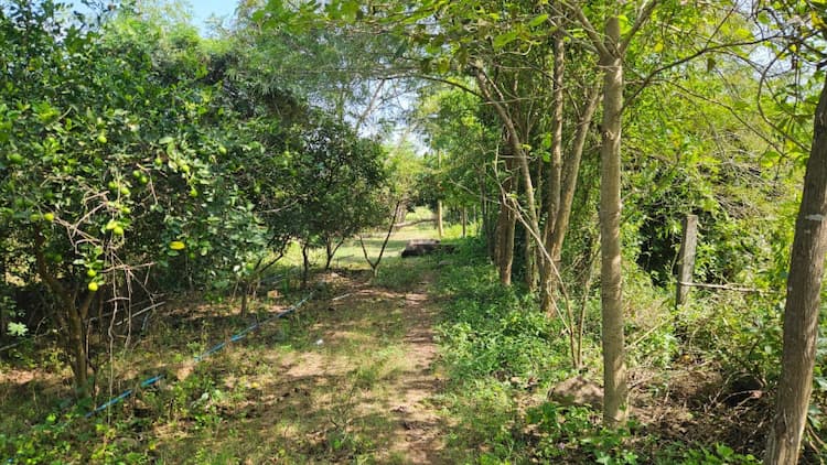 Single Property Image