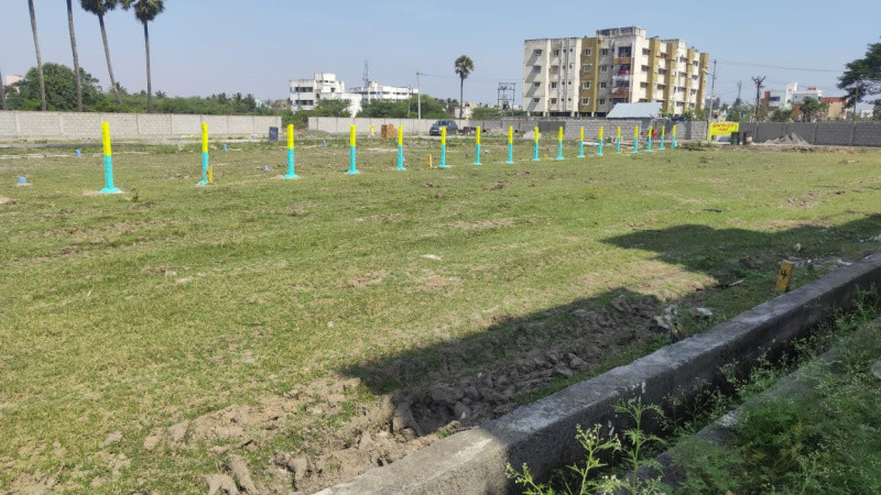 Residential Plot