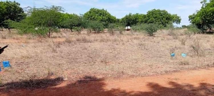 Plot sale