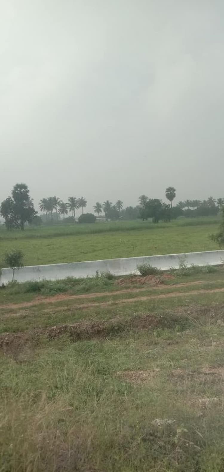 PLot sale