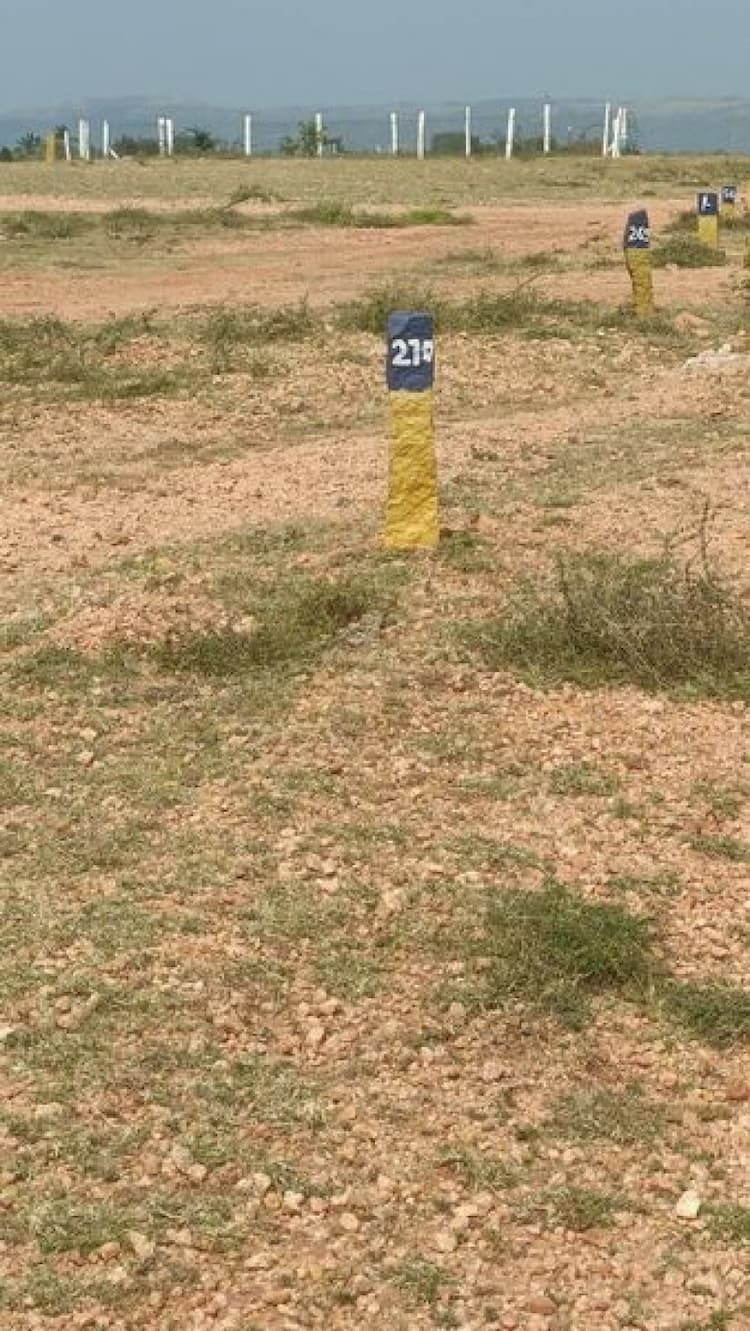 3.90 Cent Plot for sales