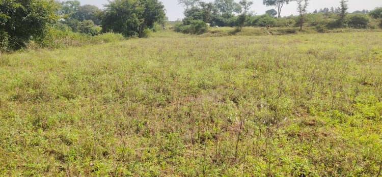 Agricultural Land