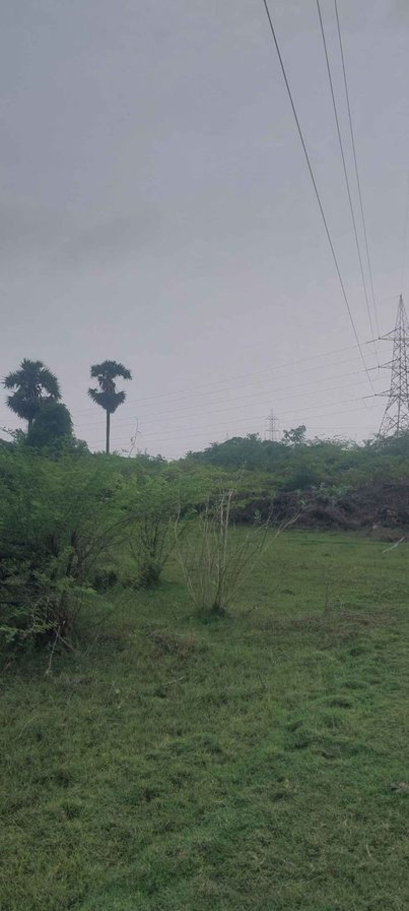2 ACRES EMPTY LAND FOR SALE