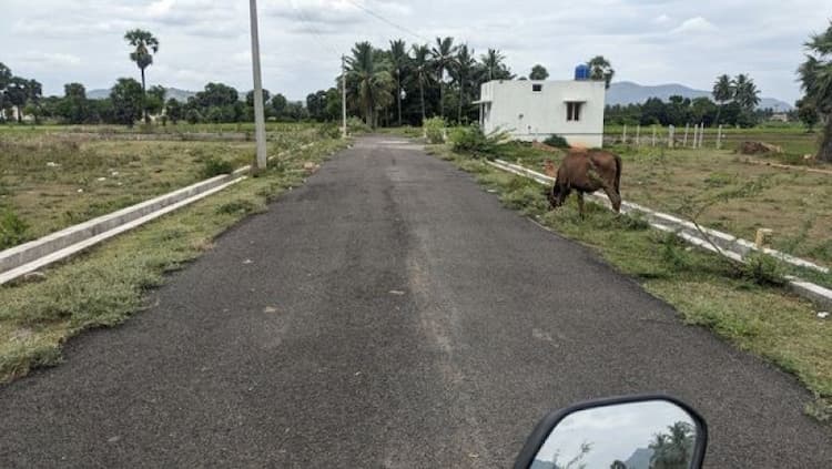 Single Property Image