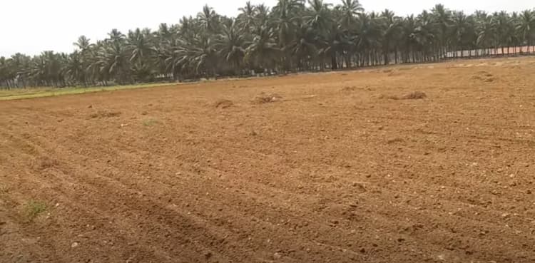 5 Acre Land for Sale