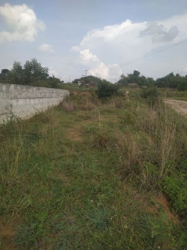 Plot sale