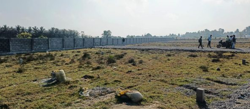 Plot sale