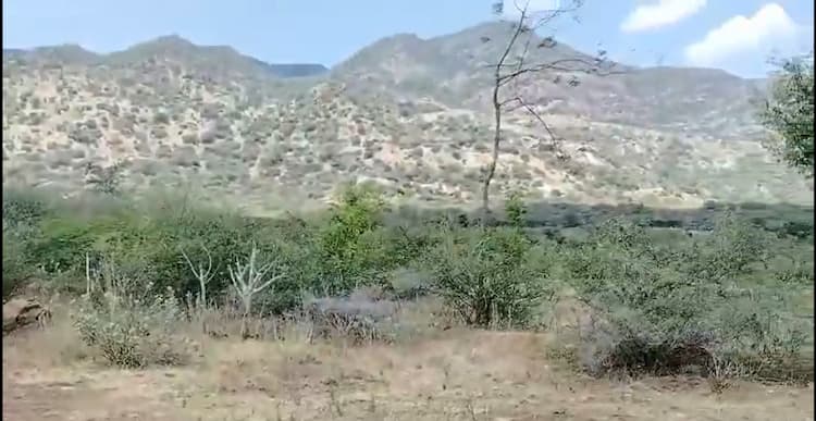 Low Budget Empty Land for Sale