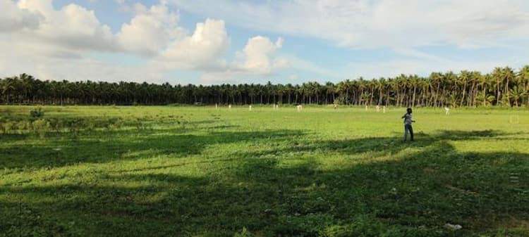 Land for Sale