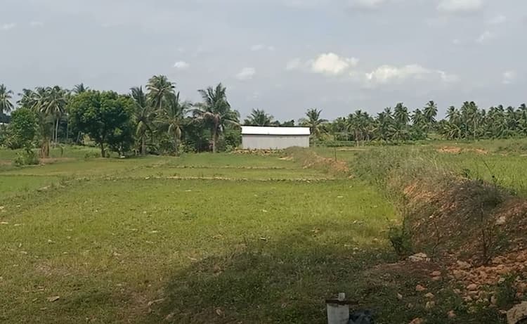 Land for sales