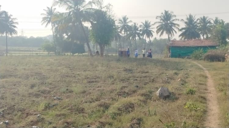 Agricultural Land