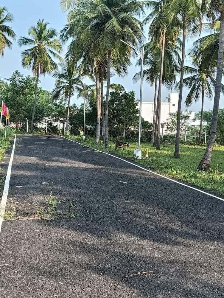 Single Property Image