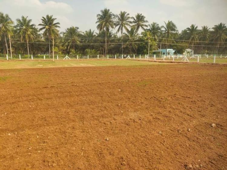 Farm Land For Sale