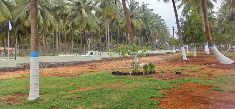 Beautiful farm land for sale.