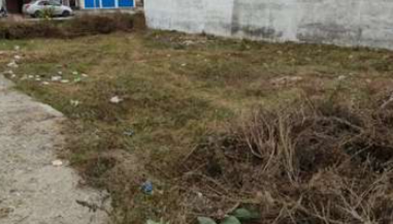 Plot for sales