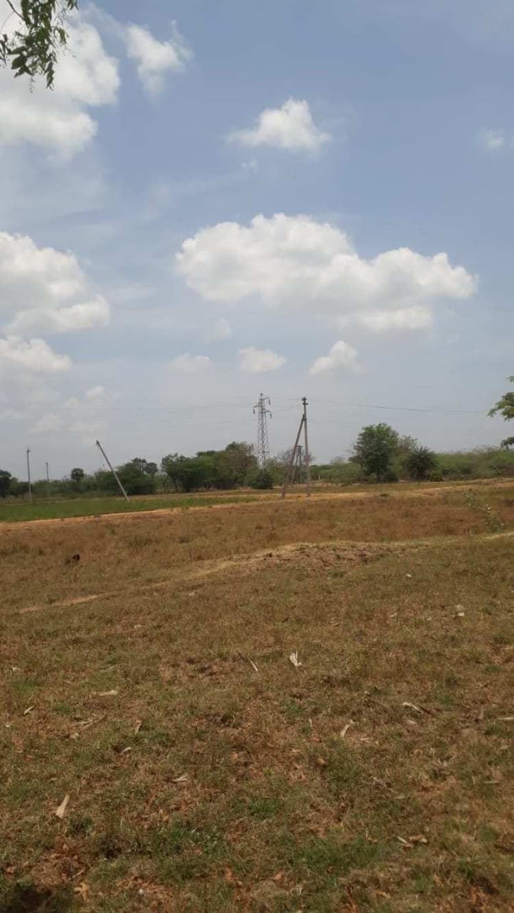 Plot sale
