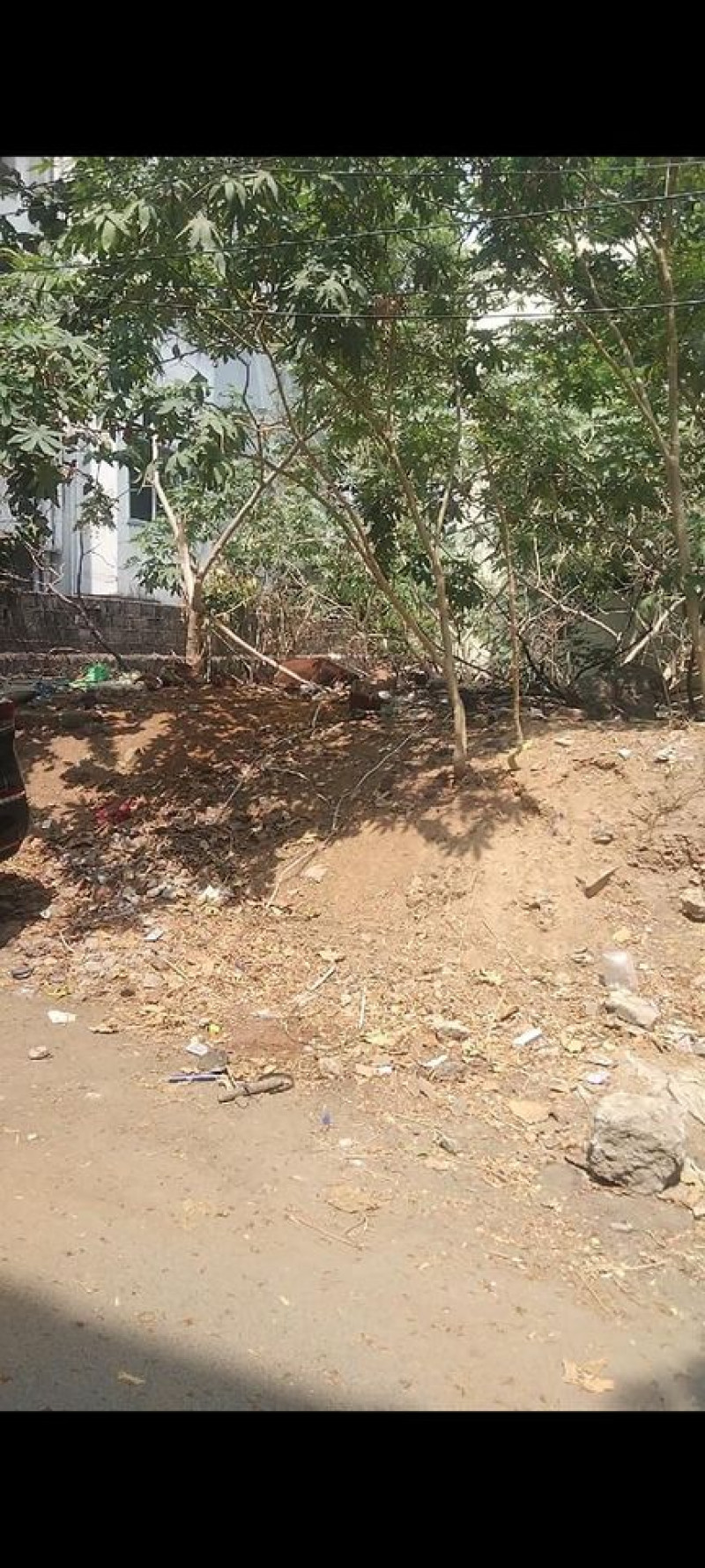 Land for sales