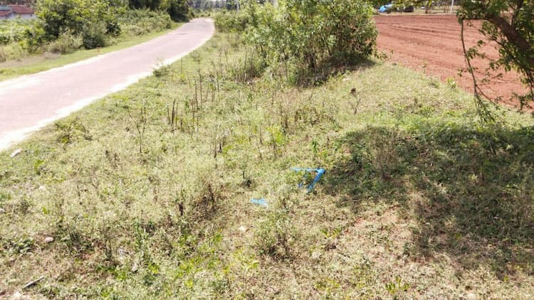 agriculture land for sale