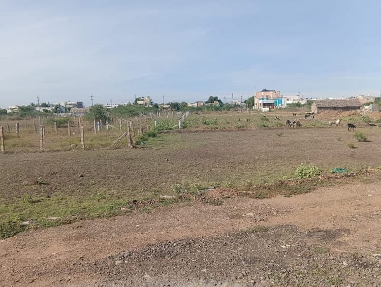 site for sale