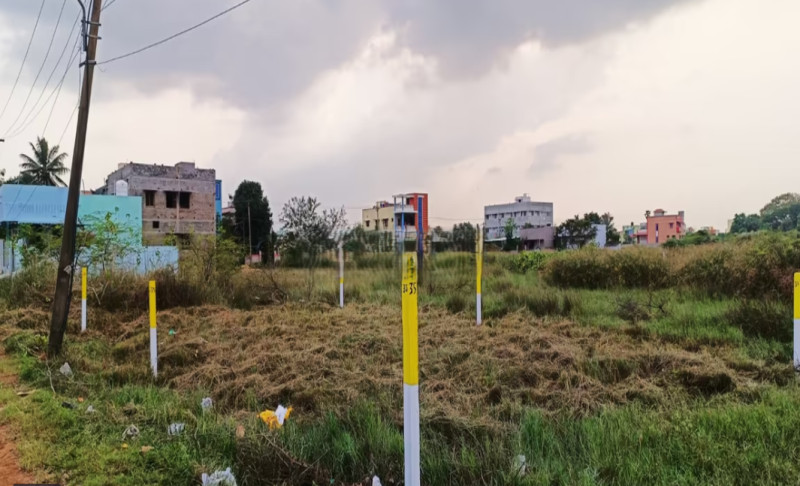 Land for sales