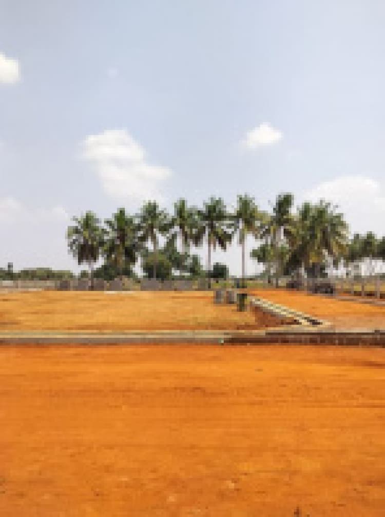 Residential Plot